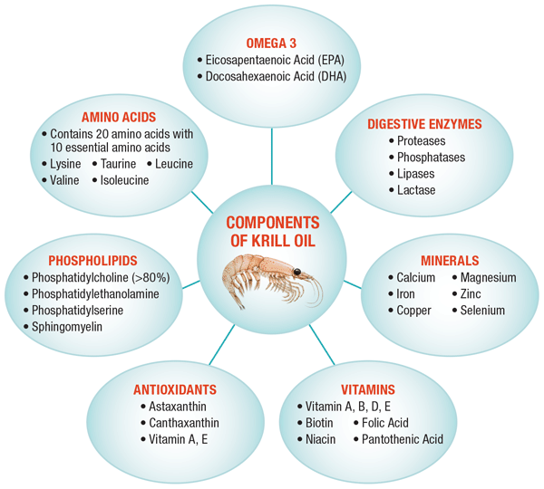 Olio di krill per cuore, cervello e bellezza