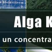 alga-klamath