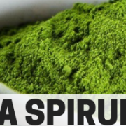 alga-spirulina