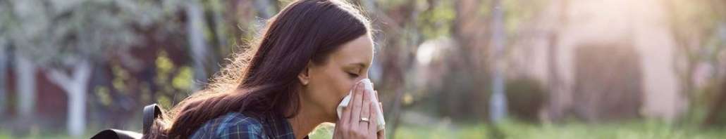 Reishi contro le allergie