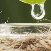 ALOE: una tradizione antica che si rinnova.