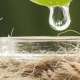 ALOE: una tradizione antica che si rinnova.