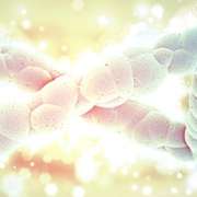 argento_atomico