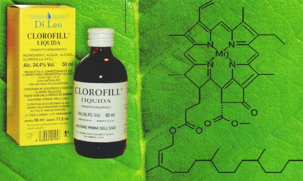Anemia clorofilla e alghe