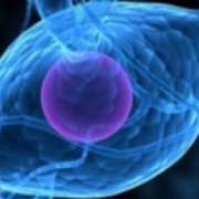 malattie-neurodegenerative