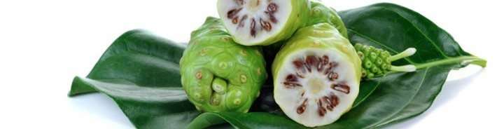 NONI: il benessere che arriva da lontano