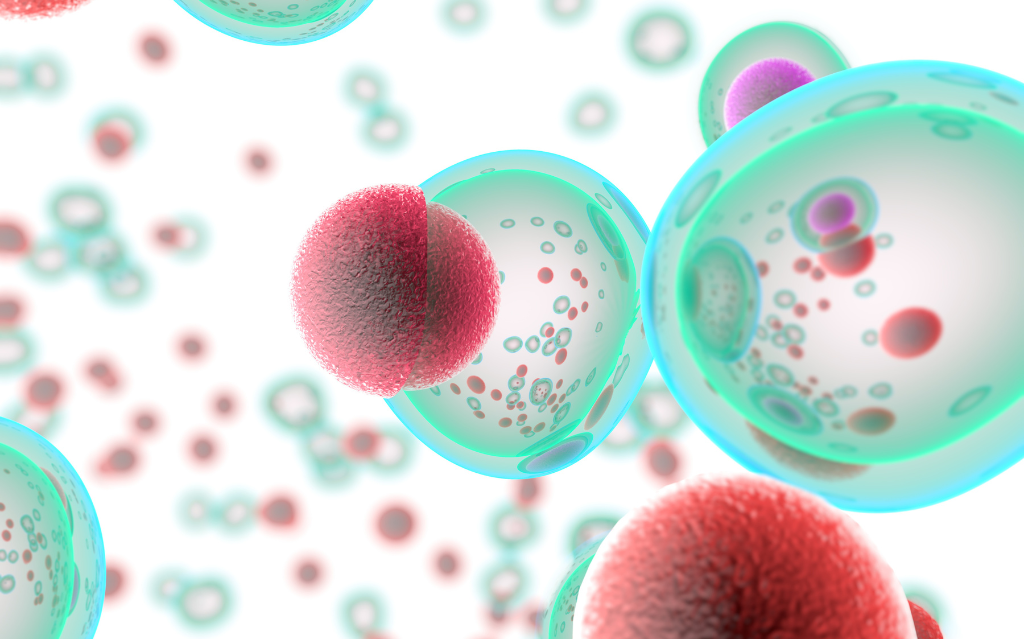 CELLULE STAMINALI: una scommessa contro il tempo