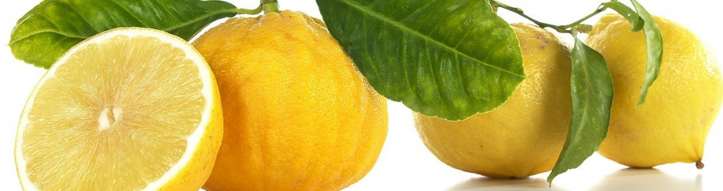 Le proprietà curative del bergamotto, in azione i flavonoidi naturali