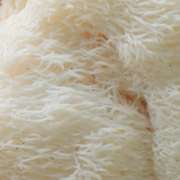 hericium_stress