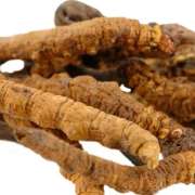 Cordyceps_Reishi_Erboristeria_Arcobaleno_Schio