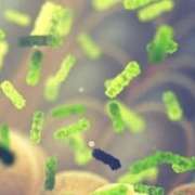microbiota-min