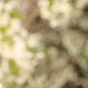 sistema_immunitario_e_allergie_erboristeria_arcobaleno_schio