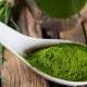 Alga spirulina