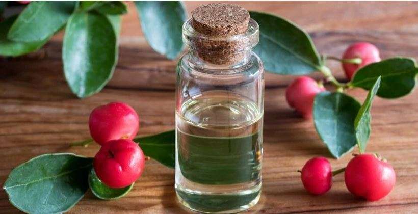 Olio Essenziale Wintergreen BIO - Oshadhi 10 ml