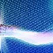 rinforzare-il-sistema-immunitario Antiossidanti e sistema immunitario