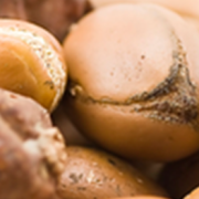 olio_argan