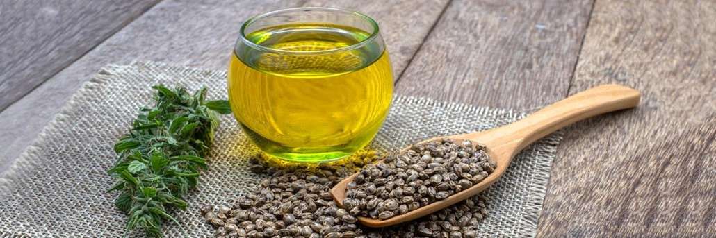 Il potere nutritivo del seme di canapa