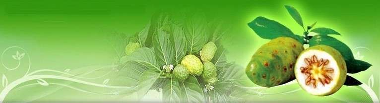 Dalla Polinesia il miracolo della natura