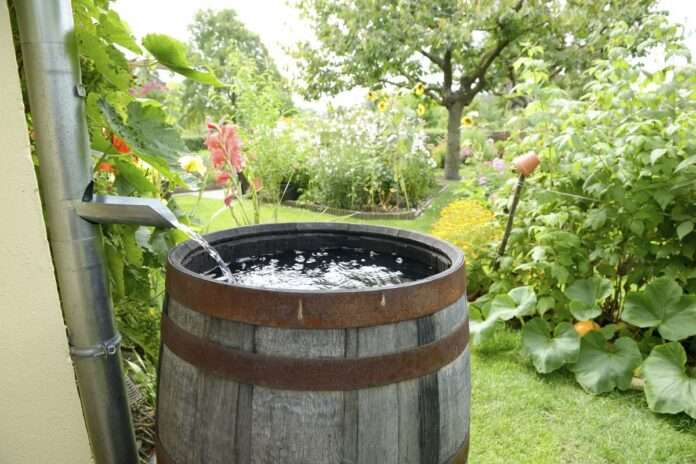 Acqua sorgente di vita