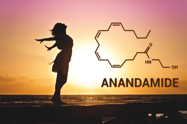 Anandamide (AEA): la “molecola della beatitudine”