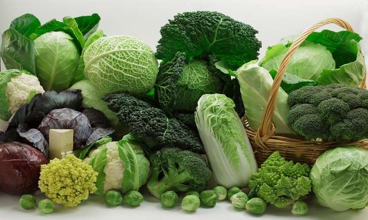 Broccoli: proprietà del SULFORAFANO