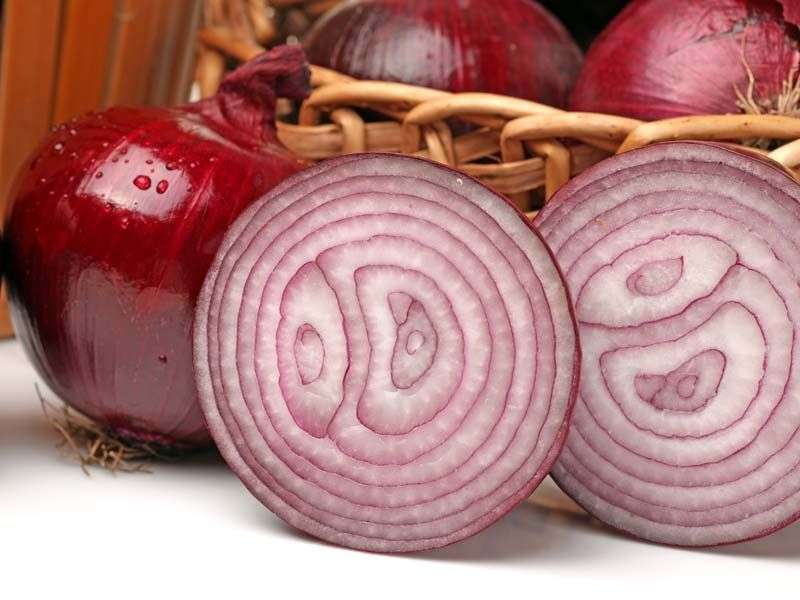QUERCETINA: una molecola che elimina le cellule vecchie