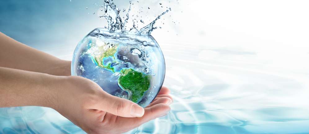 L’acqua: fondamento della vita e principio di equilibrio biologico