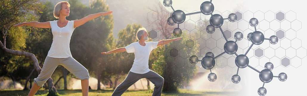 Fitoterapia: il futuro è colloidale