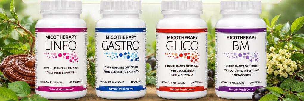 Micofitoterapia: il potere del mondo naturale